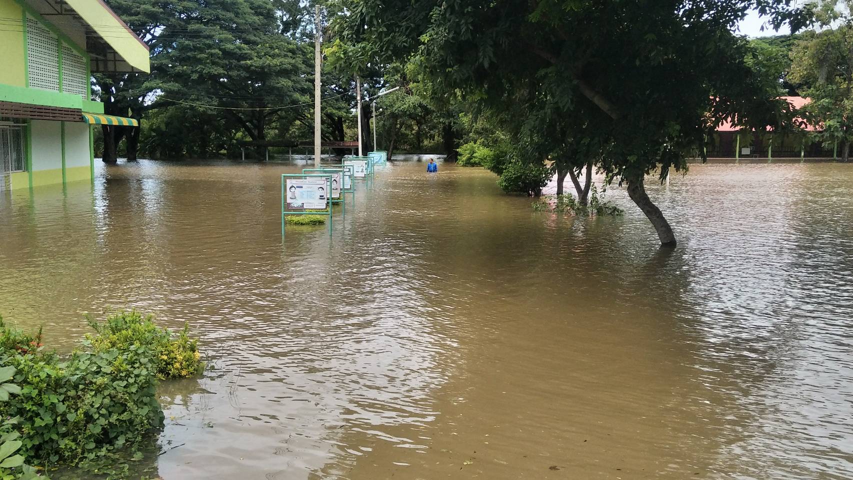 เปิดภาพน้ำท่วมโคราชบางจุดสูงกว่า 1 เมตร อำเภอชุมพวงหนักสุดในรอบ 12 ปี เปิดภาพน้ำท่วมโคราชบางจุดสูงกว่า 1 เมตร อำเภอชุมพวงหนักสุดในรอบ 12 ปี