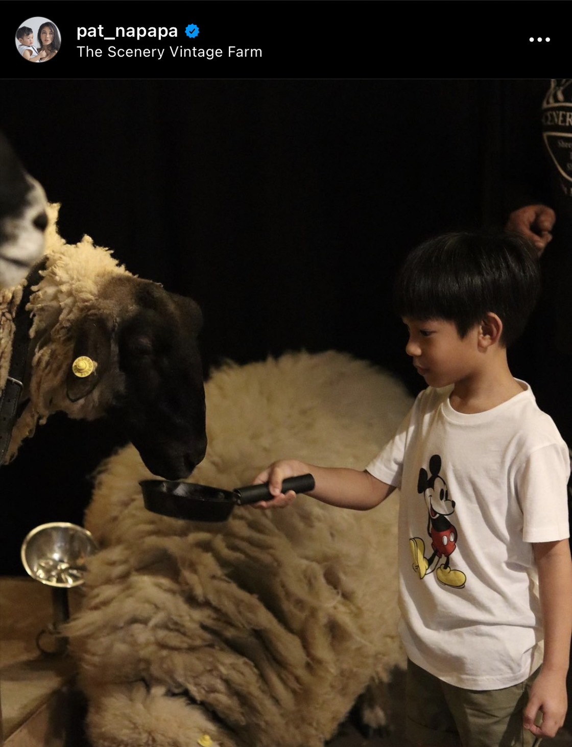 เรซซิ่ง ร้องวอน!! แพท ณปภา หนูอยากมีน้องเพิ่ม 