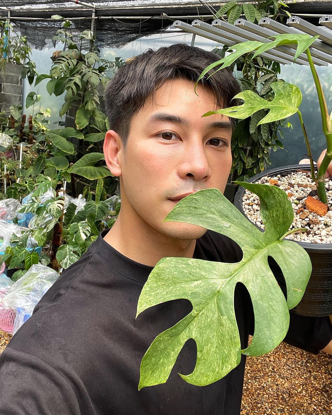 เคน ภูภูมิ ไลฟ์ขายต้นไม้ ได้ยอดเงิน 1 ล้าน มอบสมทบทุนช่วยโควิด-19 ให้มูลนิธิรามาธิบดี