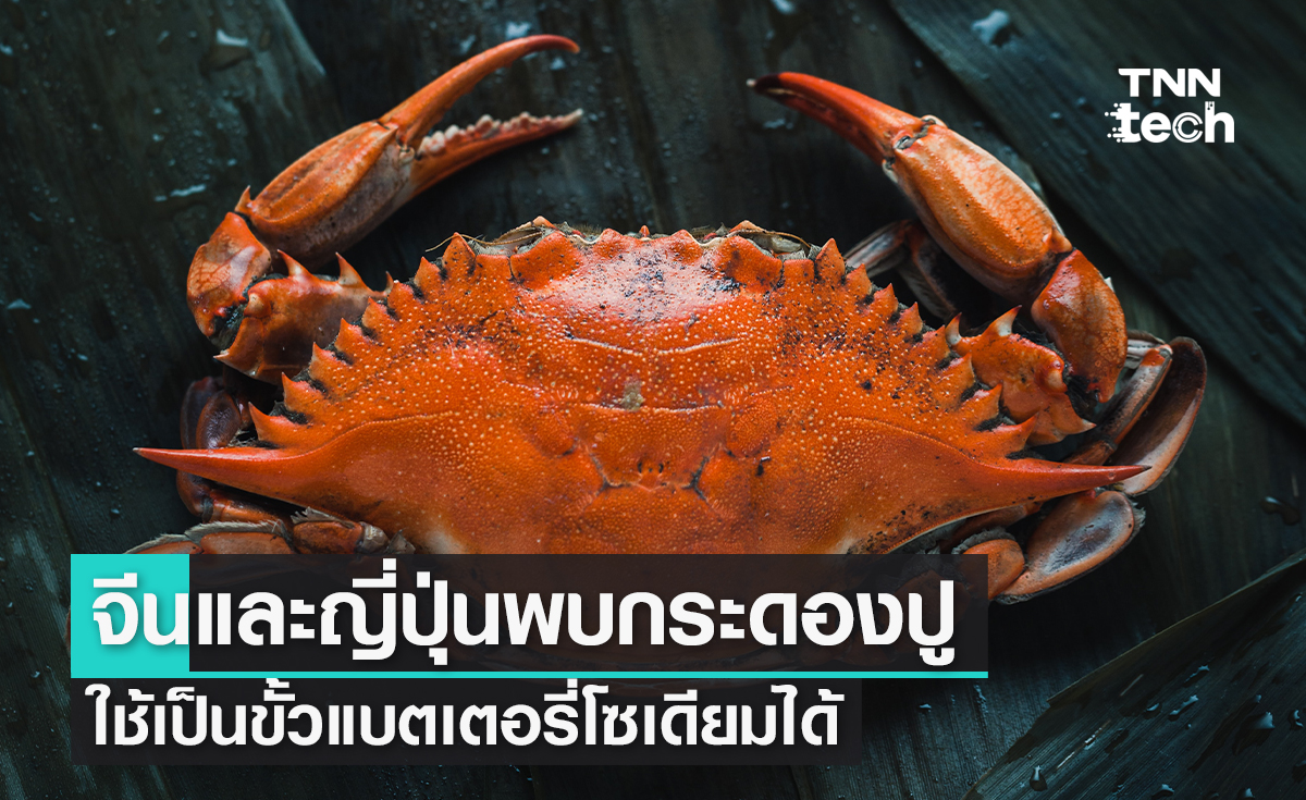 นักวิจัยจีนและญี่ปุ่นเปิดทางกระดองปูใช้เป็นขั้วแบตเตอรี่โซเดียมได้ 