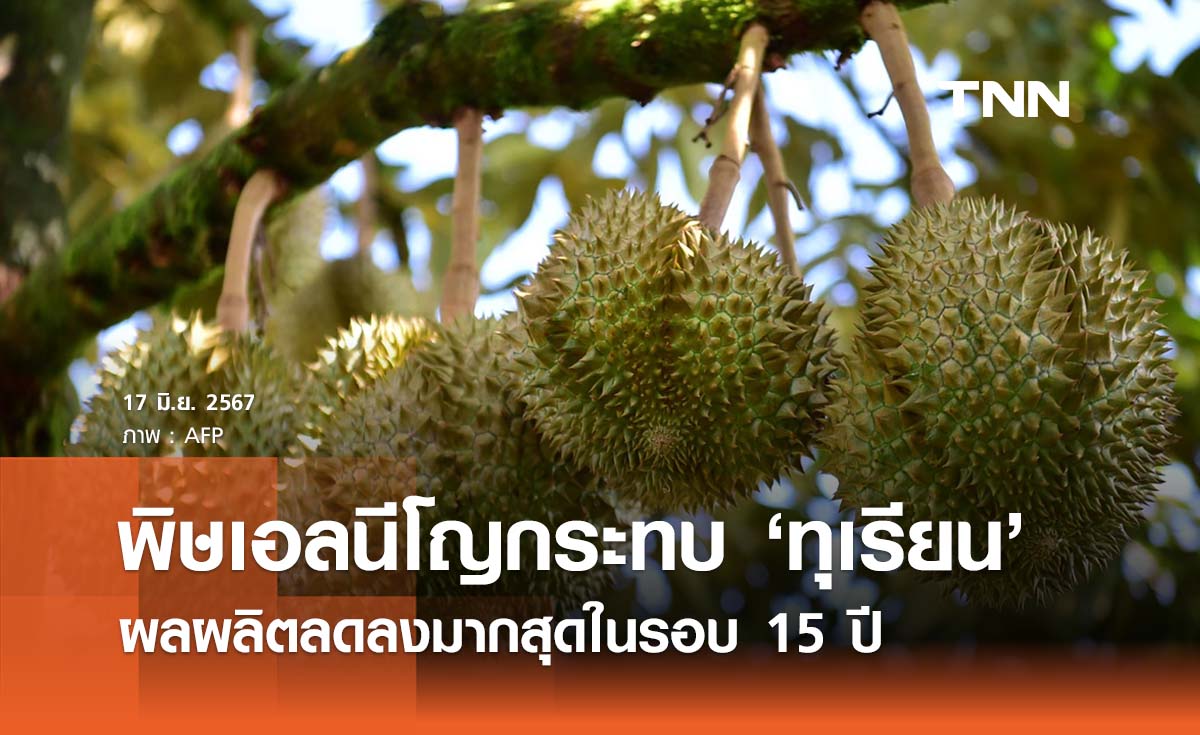 สถานการณ์ ‘ทุเรียนไทย’ ปีนี้ผลผลิตอาจลดลงมากที่สุดในรอบ 15 ปี จากพิษ ‘เอลนีโญ’