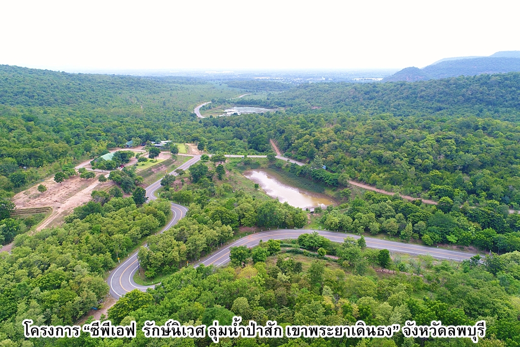 กมธ.ทรัพยากรธรรมชาติฯ วุฒิสภา ยกย่อง  2 โครงการของซีพีเอฟ ปลูกต้นไม้เพื่อแผ่นดินตามรอยพ่อ 