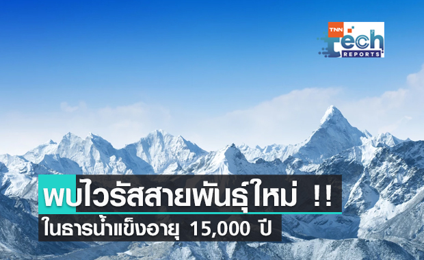 ช็อค !! พบไวรัสสายพันธุ์ใหม่หลายสิบตัวในธารน้ำแข็งอายุ 15,000 ปี