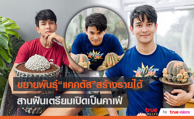  “กัน นภัทร” ขยายพันธุ์ แคคตัส สร้างรายได้ มีแพลนเปิดเป็นคาเฟ่ (มีคลิป) 
