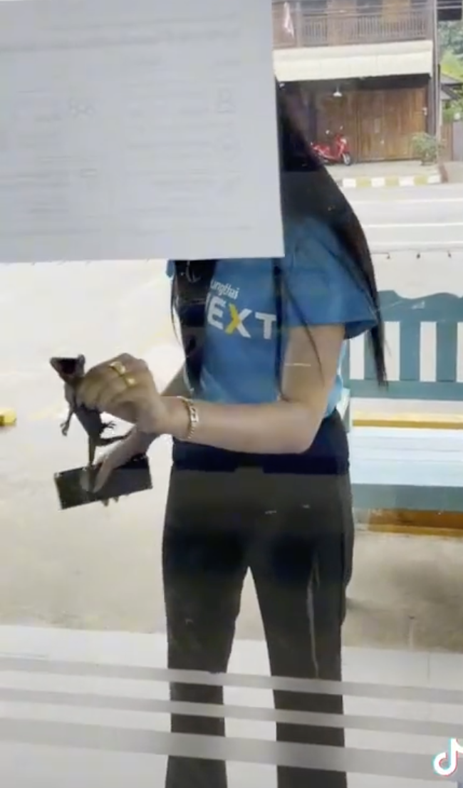 ไวรัลดัง! สาวแบงก์จับตุ๊กแกยอดติ๊กต็อกดูทะลุ 4 ล้านวิว ไวรัลดัง! สาวแบงก์จับตุ๊กแกยอดติ๊กต็อกดูทะลุ 4 ล้านวิว