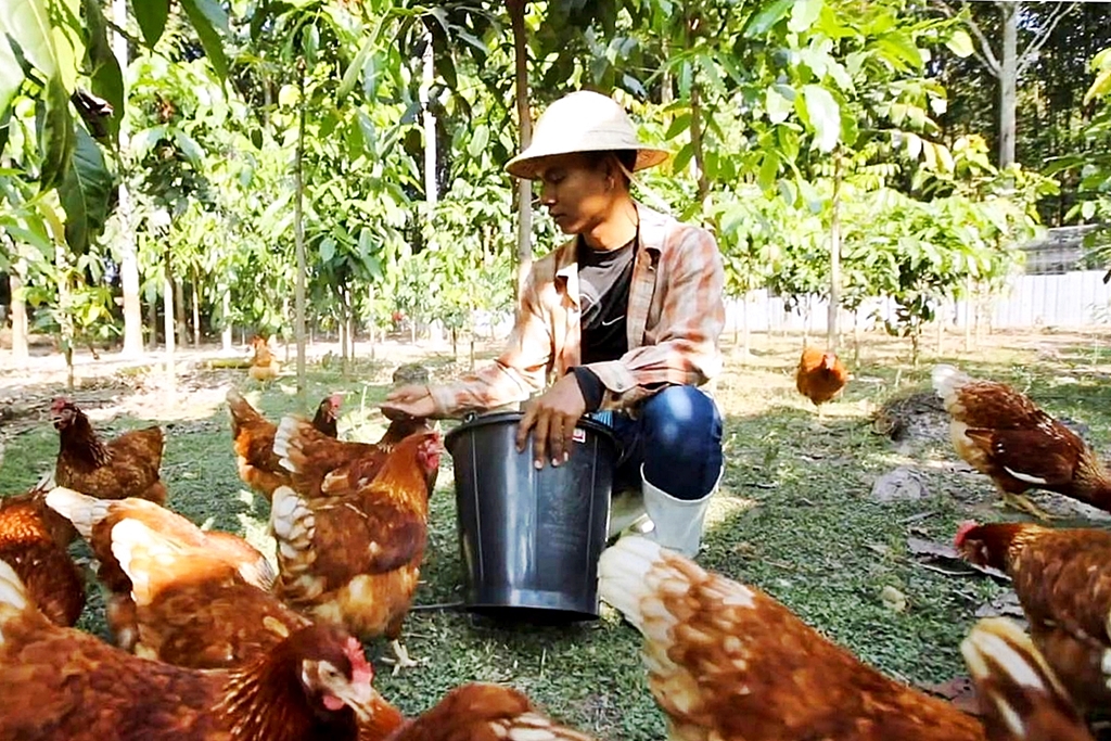 “หมู่บ้านเกษตรกรรมหนองหว้า” ต้อนรับหน่วยงานภาครัฐเยี่ยมชมความสำเร็จด้านการบริหารจัดการองค์กรแก่ชาวซีพีเอฟ