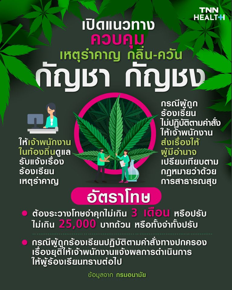 เปิดแนวทางควบคุมเหตุรำคาญกลิ่นและควัน ที่มาจากกัญชา-กัญชง เปิดแนวทางควบคุมเหตุรำคาญกลิ่นและควัน ที่มาจากกัญชา-กัญชง