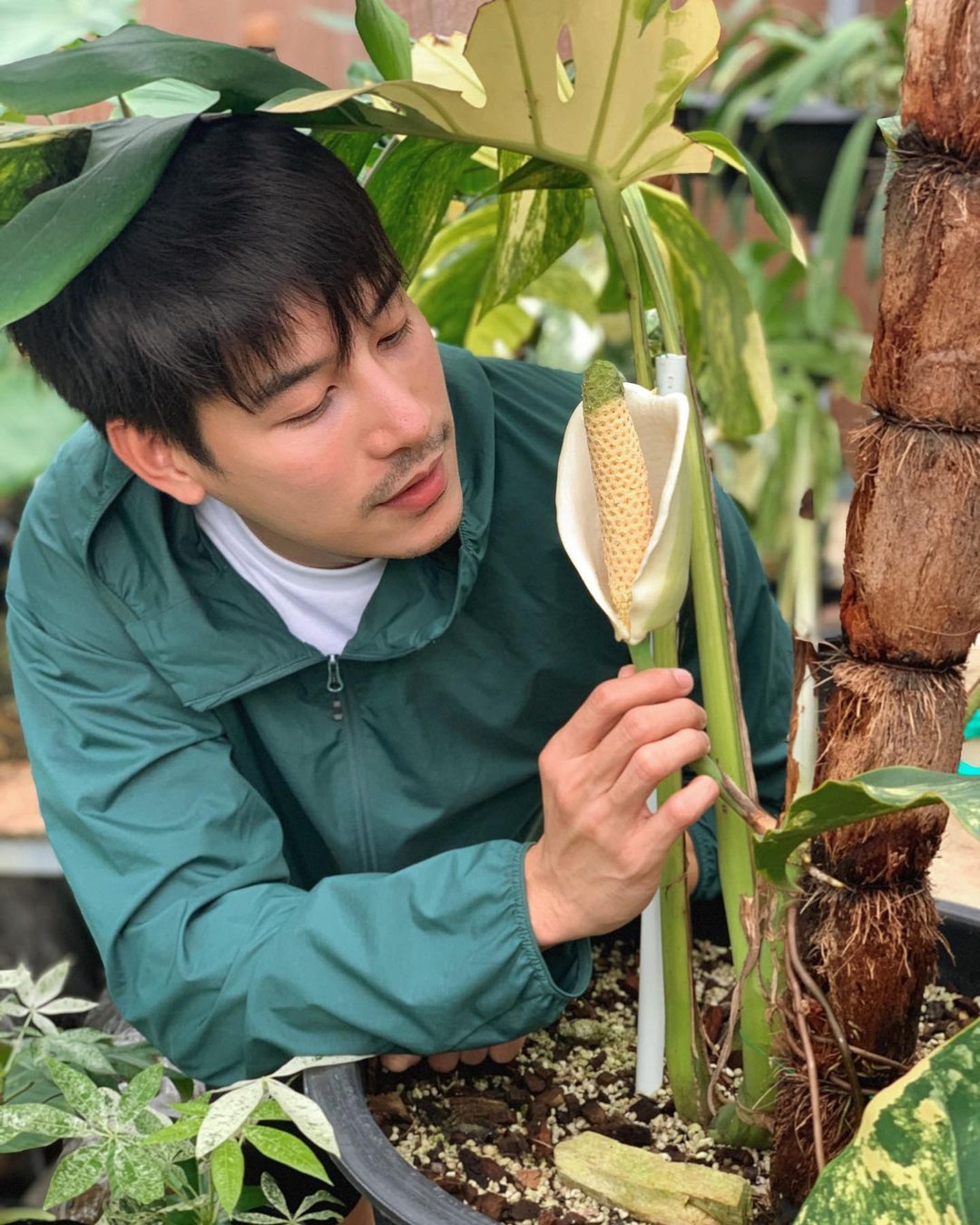 เคน ภูภูมิ ไลฟ์ขายต้นไม้ ได้ยอดเงิน 1 ล้าน มอบสมทบทุนช่วยโควิด-19 ให้มูลนิธิรามาธิบดี