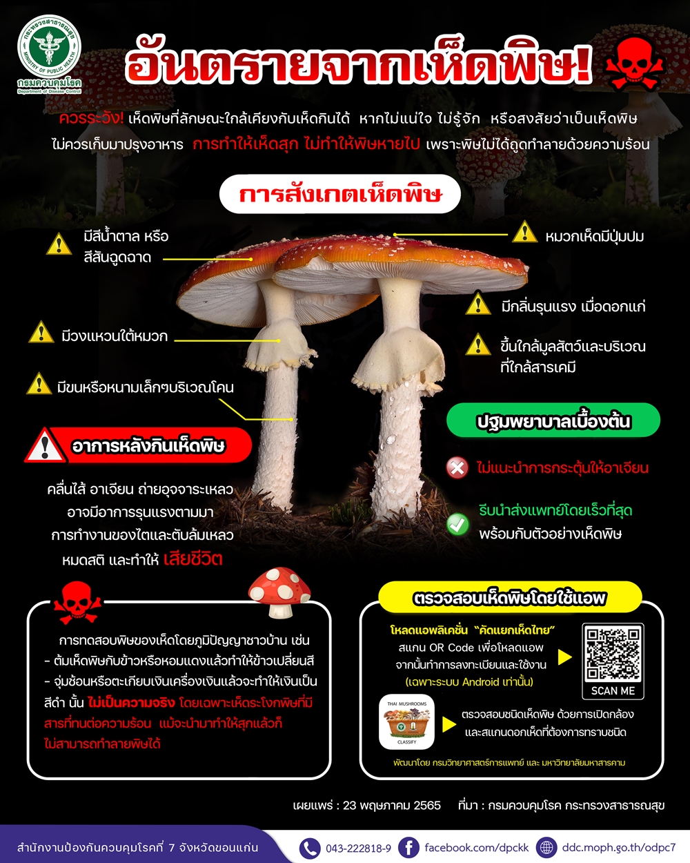 4 เห็ดพิษอันตรายช่วงฤดูฝน ทานแล้วมีอาการอย่างไร-จะเกิดขึ้นภายในกี่ชั่วโมง? 4 เห็ดพิษอันตรายช่วงฤดูฝน ทานแล้วมีอาการอย่างไร-จะเกิดขึ้นภายในกี่ชั่วโมง?