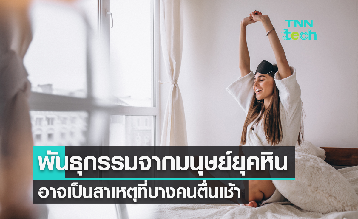 พันธุกรรมจากมนุษย์ยุคหิน อาจเป็นสาเหตุที่บางคนตื่นเช้า