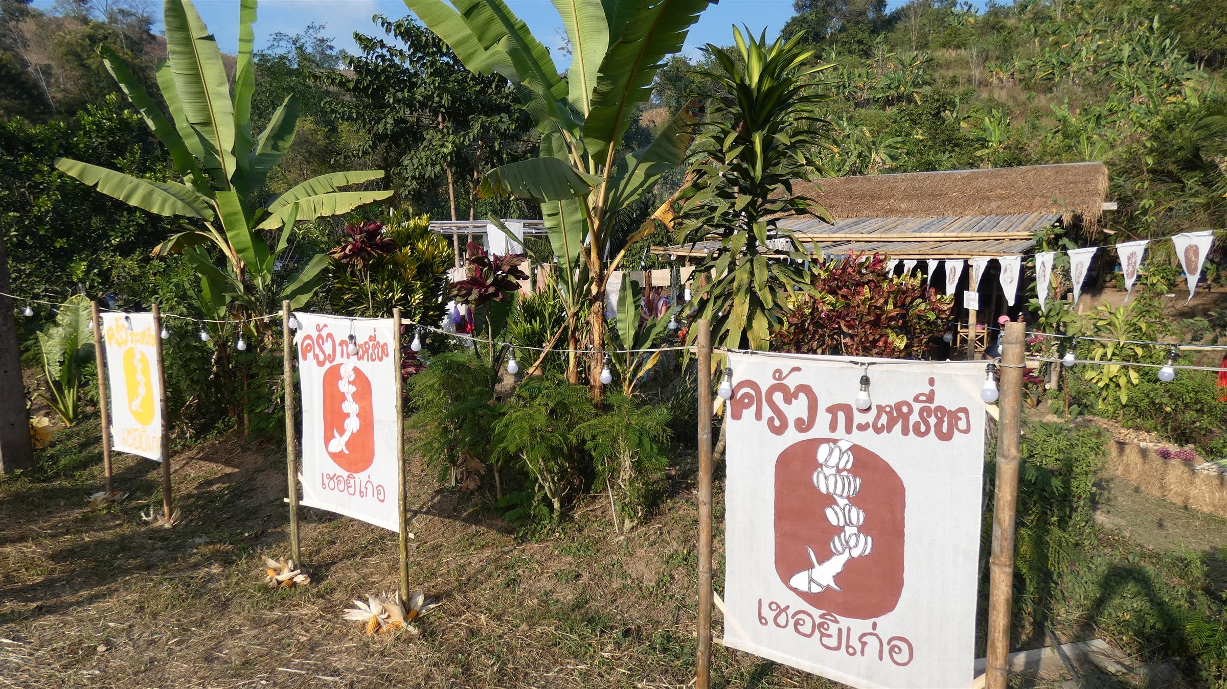 ฝีมือคนรุ่นใหม่! “ครัวกะเหรี่ยงเชอยิเก่อ”  สืบสานภูมิปัญญาชาวบ้าน “แก่นมะกรูด”