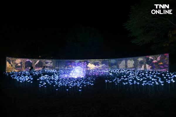 อลังการงานไฟฝีมือคนไทย Nasatta Light Festival Winter Illumination ที่ ณ สัทธา อุทยานไทย จังหวัดราชบุรี