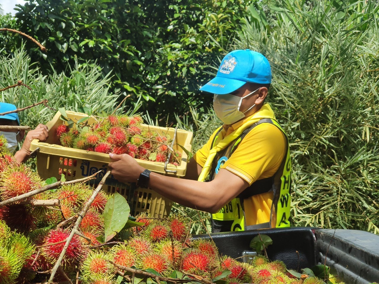 “ส่งต่อความสุข”ตร.ช่วยสองต่อ เกษตรกร-บุคลากรแพทย์ “ส่งต่อความสุข”ตร.ช่วยสองต่อ เกษตรกร-บุคลากรแพทย์