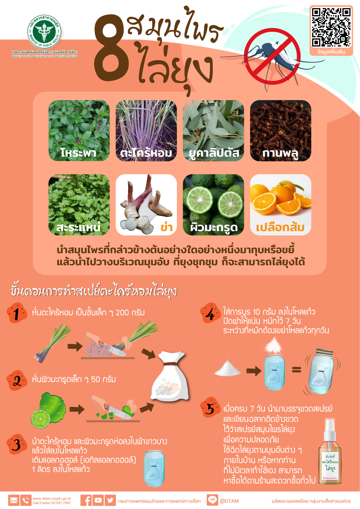 ฝนตกน้ำขัง! แนะ 8 สมุนไพรทำถุงหอมไล่ยุงตัวร้าย ห่างไกลไข้เลือดออก