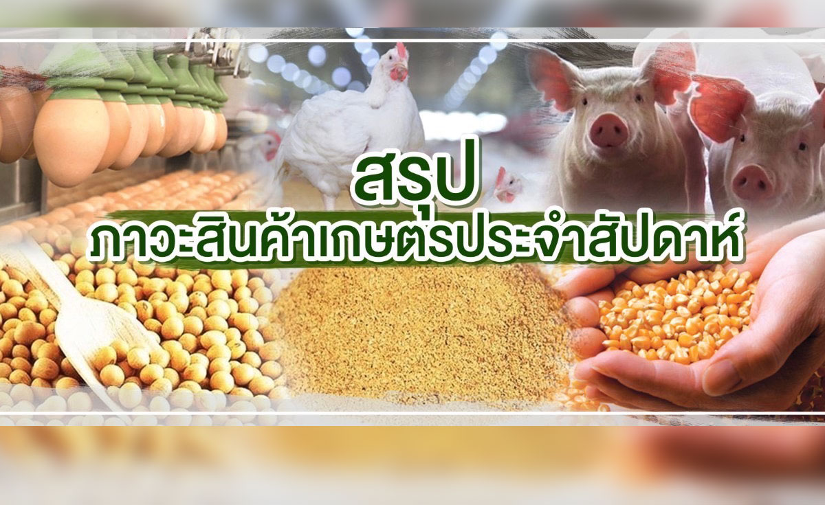 สรุปภาวะสินค้าเกษตรประจำสัปดาห์  วันที่ 12-16 ธันวาคม 2565