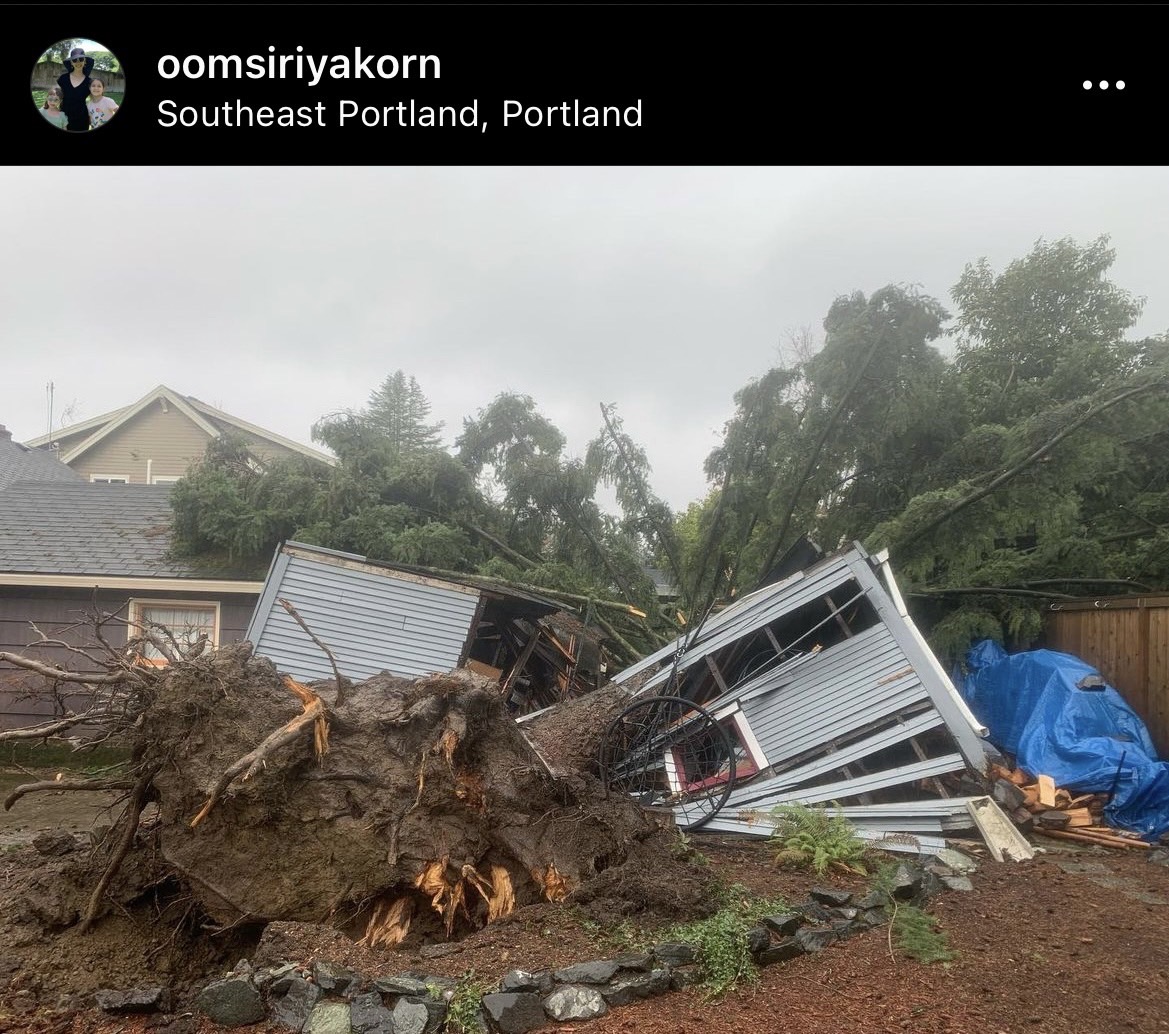 ฟาดเคราะห์ท้ายปี อุ้ม สิริยากร โดนพายุถล่มต้นไม้ทับโรงรถที่บ้านพัง!