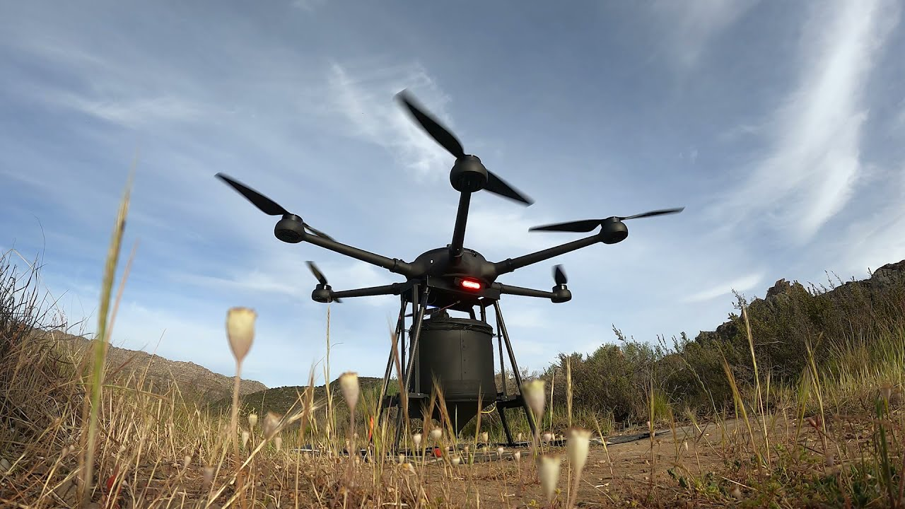 โดรนเทพ ปลูกป่า 40,000 ต้นต่อวัน โตแน่เพราะวิเคราะห์และตรวจสอบเสมอ