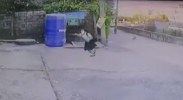 จนได้!บางแก้ววิ่งไล่นร. โดนกัดแล้ว 1 ราย เจ้าของบอกอย่ามองตาหมา