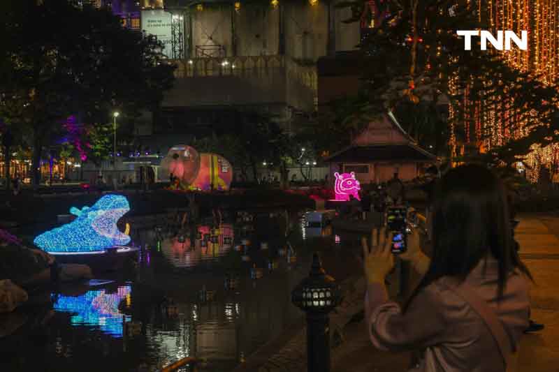 หมูเด้งบุกกรุง แสง สีสุดอลังการ ส่งท้ายปี หมูเด้งบุกกรุง แสง สีสุดอลังการ ส่งท้ายปี