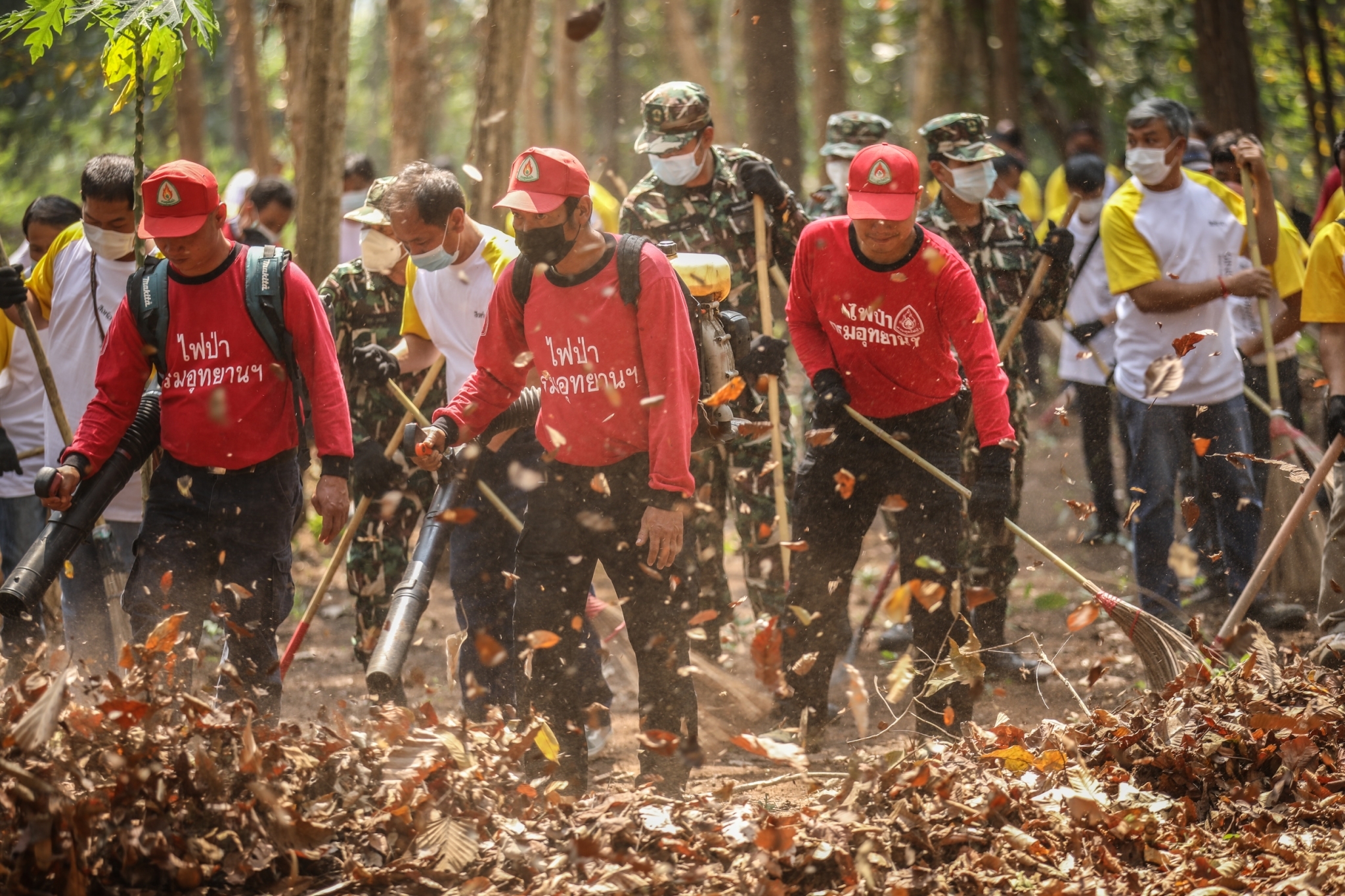 สิงห์อาสา จับมือเครือข่ายฯ ป้องกันไฟป่า 14 จังหวัด พื้นที่เสี่ยงทั่วประเทศ พร้อมขยายผล “ห้องเรียนปลอดฝุ่น” สิงห์อาสา จับมือเครือข่ายฯ ป้องกันไฟป่า 14 จังหวัด พื้นที่เสี่ยงทั่วประเทศ พร้อมขยายผล “ห้องเรียนปลอดฝุ่น”