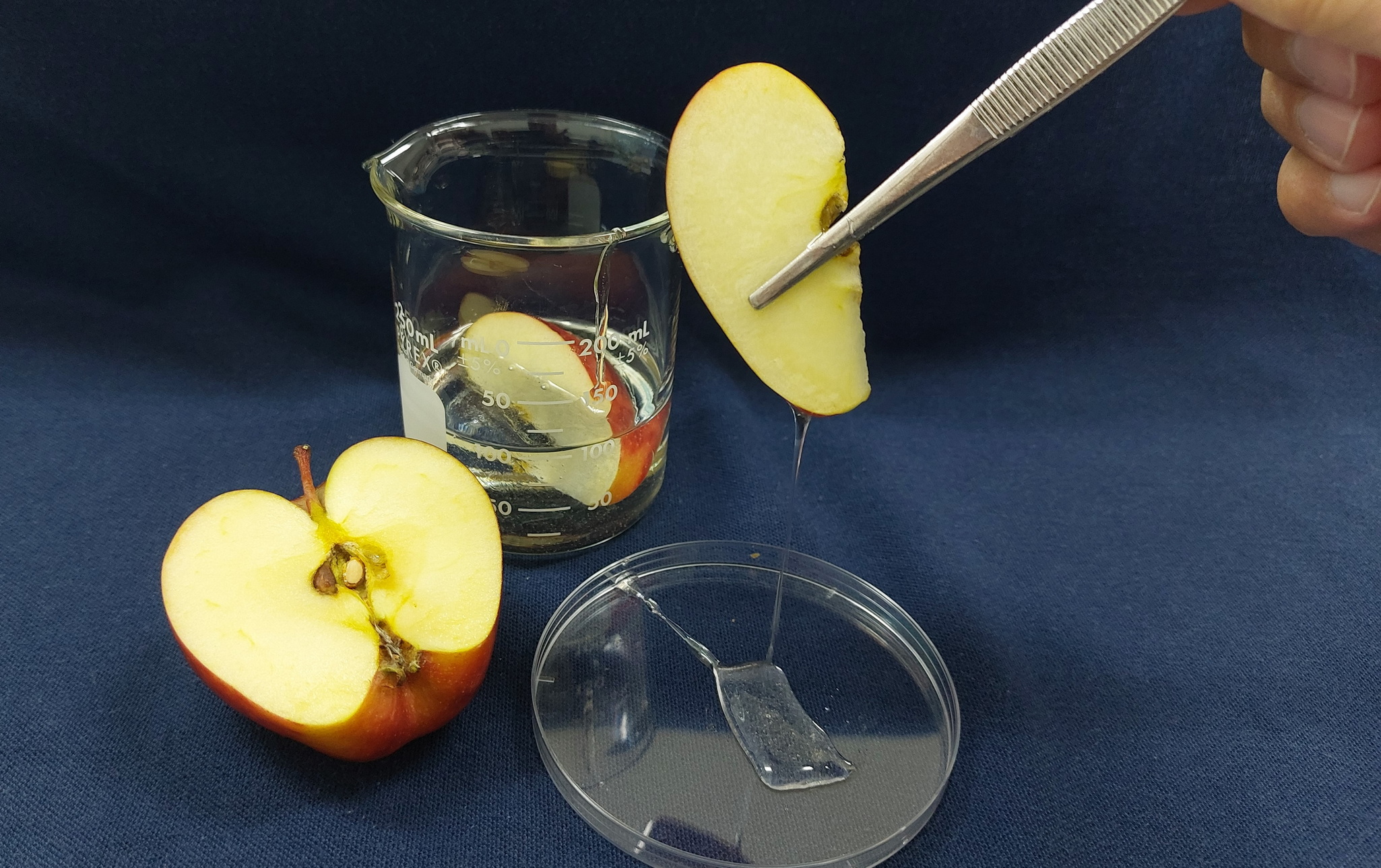 นักวิจัยเมืองโอ่ง พัฒนาแผ่นฟิล์มกินได้ ยืดอายุอาหาร 4 เดือน