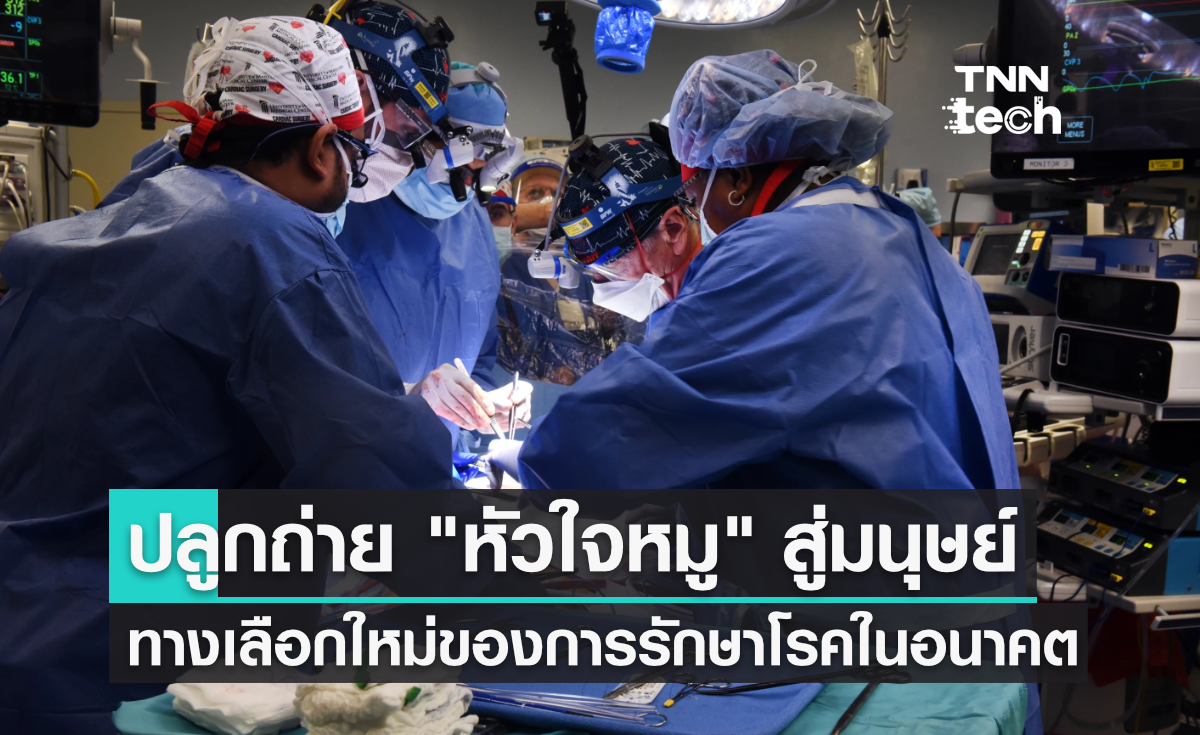 ศัลยแพทย์สหรัฐฯ ปลูกถ่าย "หัวใจหมู" ในร่างกายมนุษย์ได้สำเร็จเป็นครั้งแรกของโลก !!