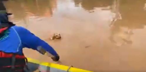 เล็ก ฝันเด่น รุดช่วยสุนัขลอยน้ำ!! หลังลงพื้นที่ช่วยน้ำท่วม