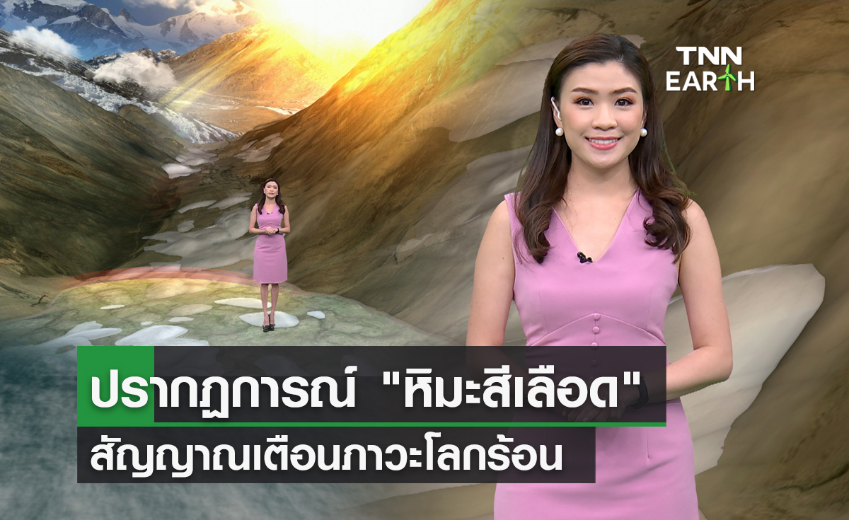 ปรากฏการณ์ “หิมะสีเลือด” สัญญาณเตือนภาวะโลกร้อน