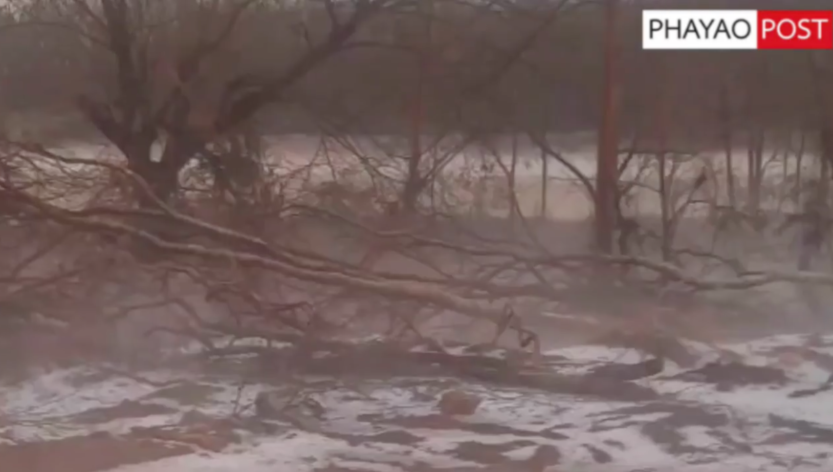 ชาวเน็ตแชร์! พายุลูกเห็บถล่มพะเยา ขาวโพลนราวกับหิมะตกในต่างประเทศ ชาวเน็ตแชร์! พายุลูกเห็บถล่มพะเยา ขาวโพลนราวกับหิมะตกในต่างประเทศ