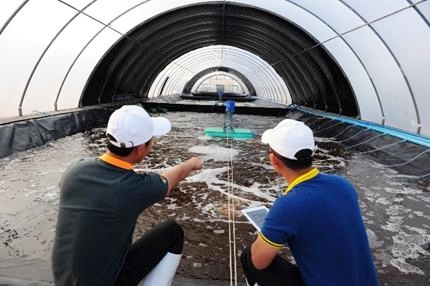 นักวิชาการ CPF ชู “โปรไบโอติก” นวัตกรรมการเลี้ยงกุ้งปลอดภัย ปลอดโรค ปลอดสาร