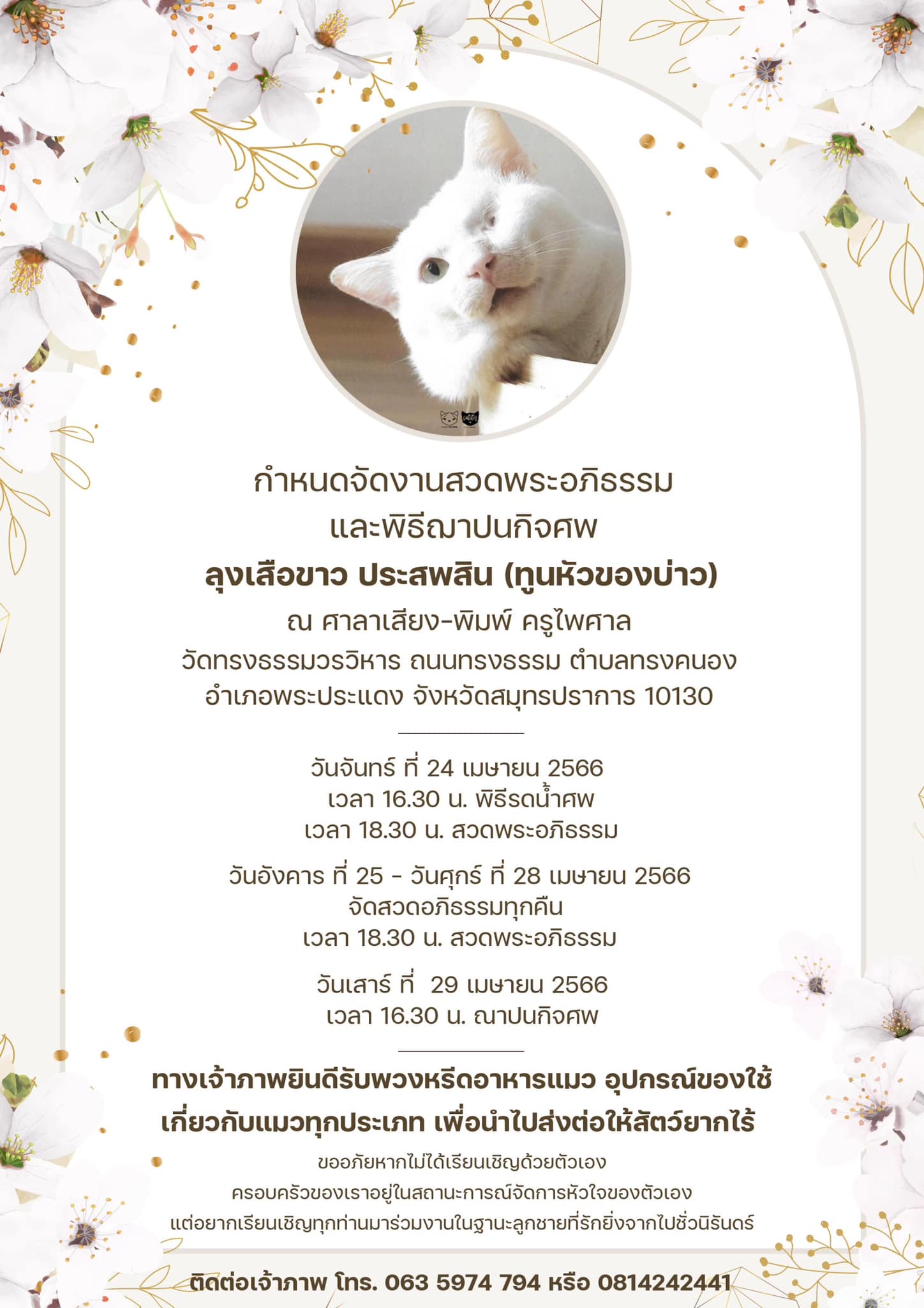 ทาสแมวแห่อาลัย! เพจทูนหัวของบ่าวสูญเสีย เสือขาว จัดสวดอภิธรรม 5 คืน