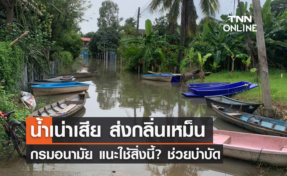 "น้ำท่วม" ต้องอ่าน กรมอนามัย แนะใช้สิ่งนี้? ช่วยบำบัดน้ำเสีย