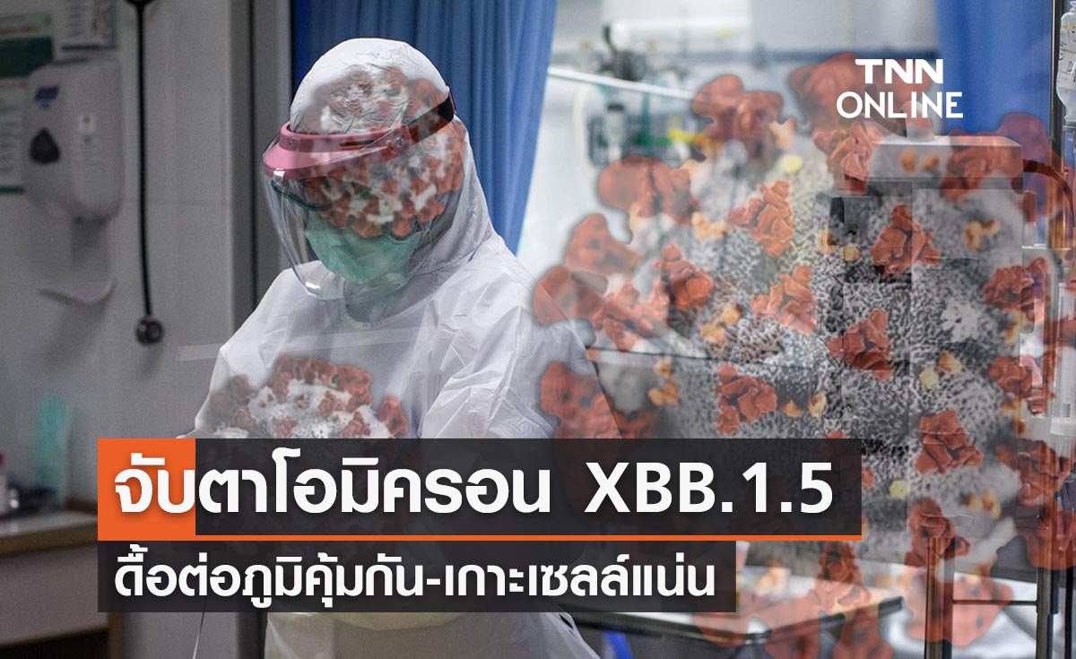 จับตาโอมิครอนพันธุ์ย่อย  XBB.1.5 ดื้อภูมิที่สุดเท่าที่เคยมีมา 