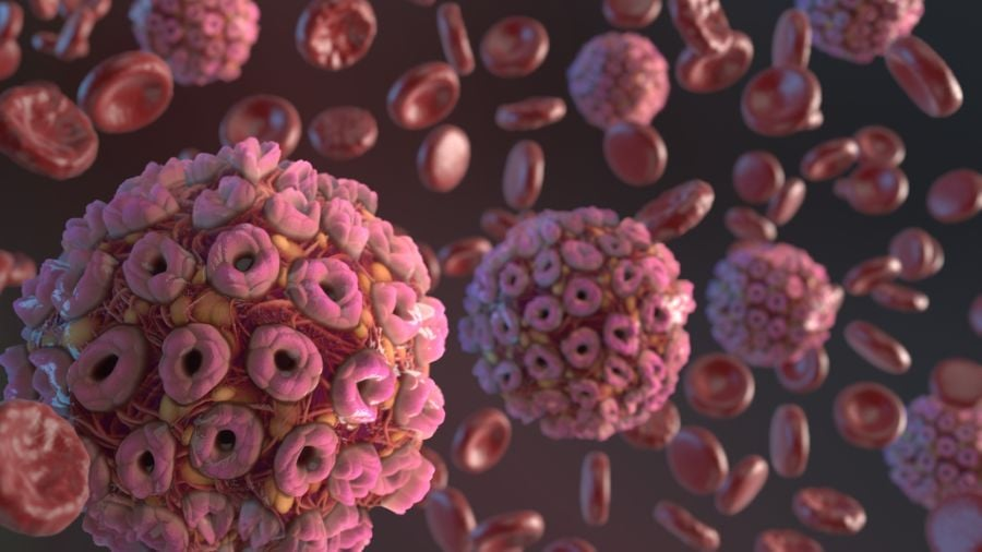 แบคทีเรีย สามารถมีชีวิตได้กว่า 100,000 ปี แม้ไม่ได้รับสารอาหารเลย แบคทีเรีย สามารถมีชีวิตได้กว่า 100,000 ปี แม้ไม่ได้รับสารอาหารเลย