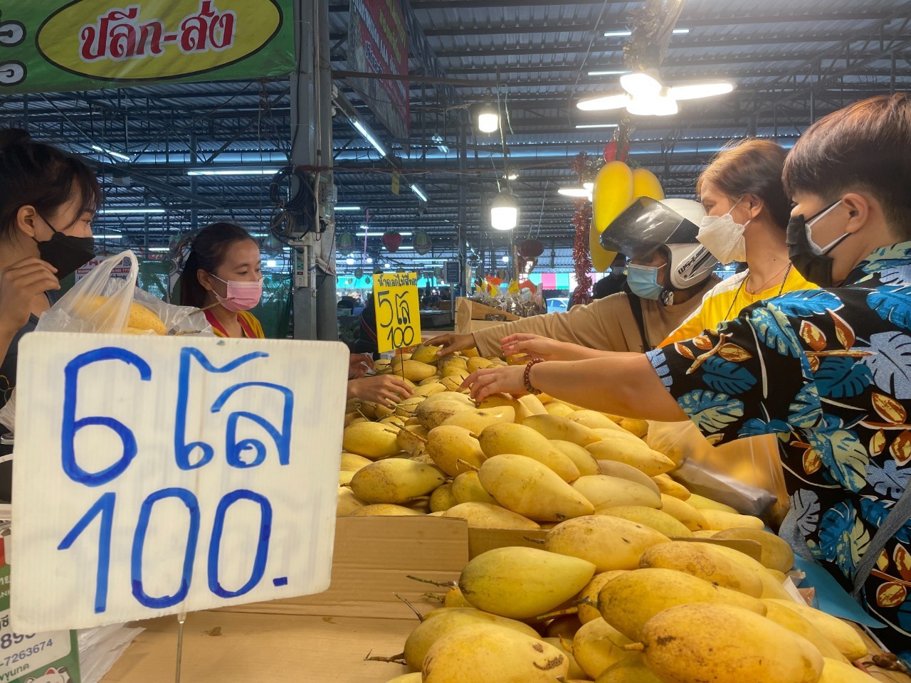 แม่ค้ามะม่วงโคราชขอบคุณมิลลิ ยอดขายพุ่ง 500 กก.หมดเกลี้ยงไม่กี่ชม. แม่ค้ามะม่วงโคราชขอบคุณมิลลิ ยอดขายพุ่ง 500 กก.หมดเกลี้ยงไม่กี่ชม.