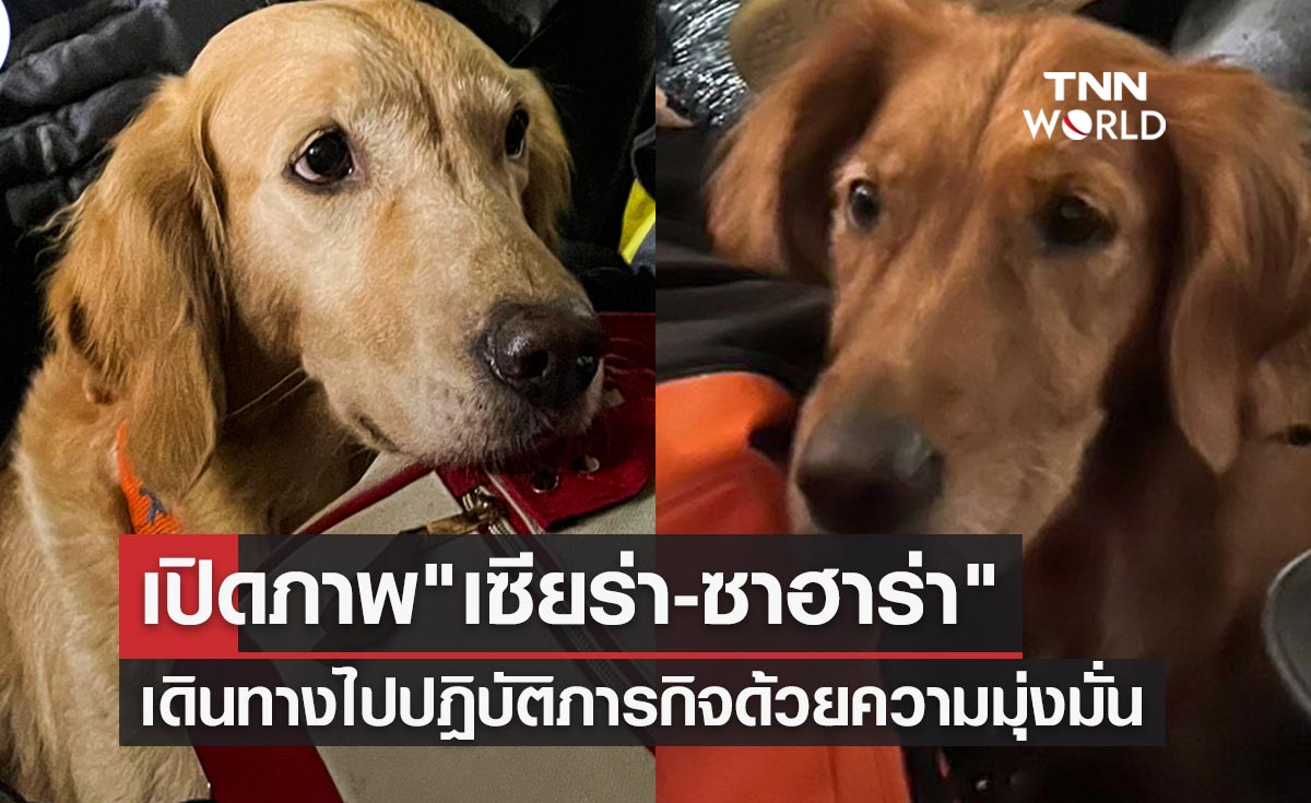 เคียงบ่าเคียงไหล่! เปิดภาพ "เซียร่า" และ "ซาฮาร่า" เดินทางปฎิบัติภารกิจด้วยความมุ่งมั่น