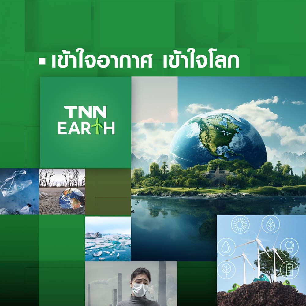 TNN Online Content Direction 2024 กับ 6 เสาหลักคอนเทนต์ TNN Online Content Direction 2024 กับ 6 เสาหลักคอนเทนต์