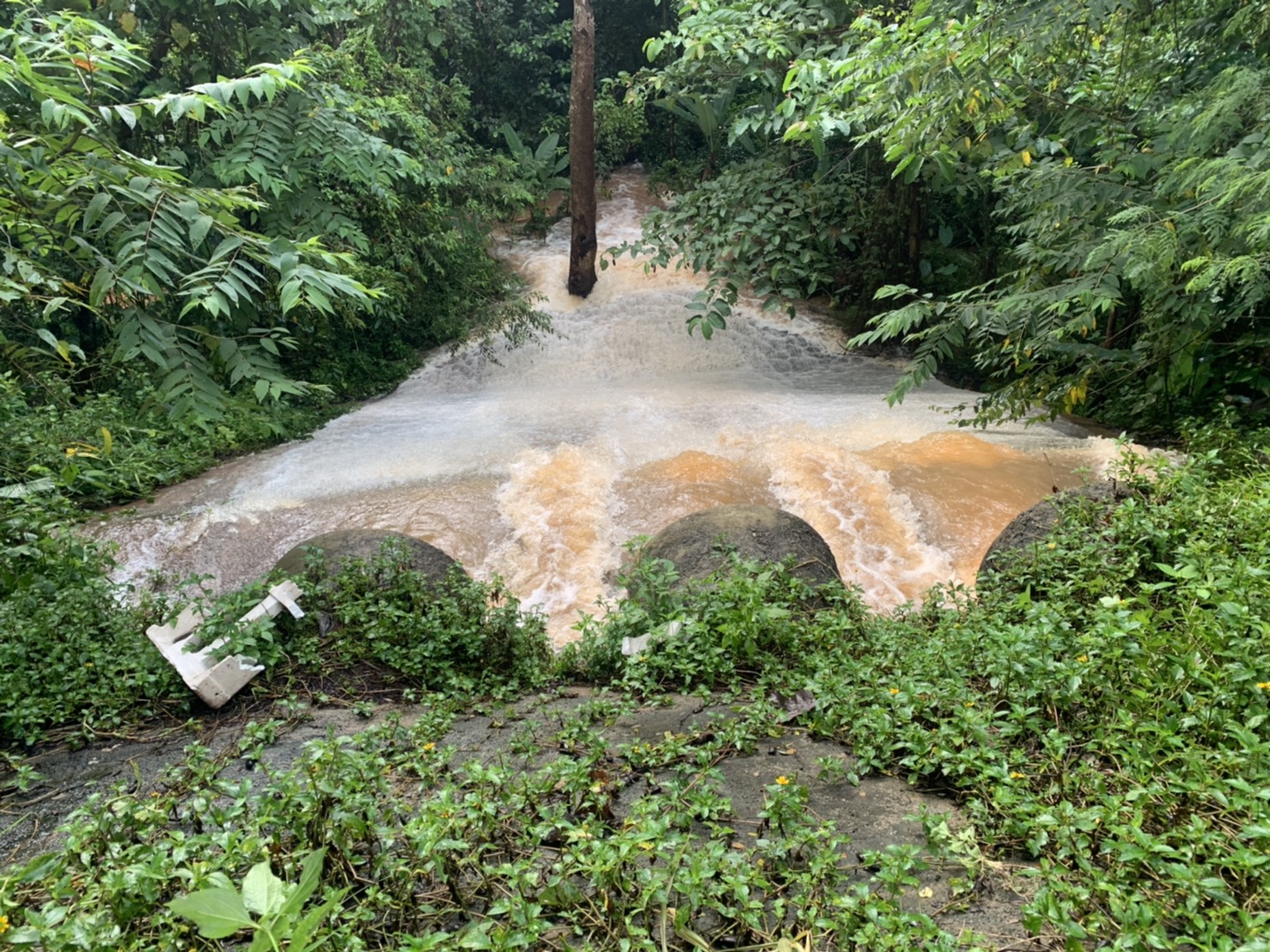ฝนถล่มปราจีนบุรี น้ำป่าเขาใหญ่หลากท่วมบ้านเรือนประชาชน ฝนถล่มปราจีนบุรี น้ำป่าเขาใหญ่หลากท่วมบ้านเรือนประชาชน