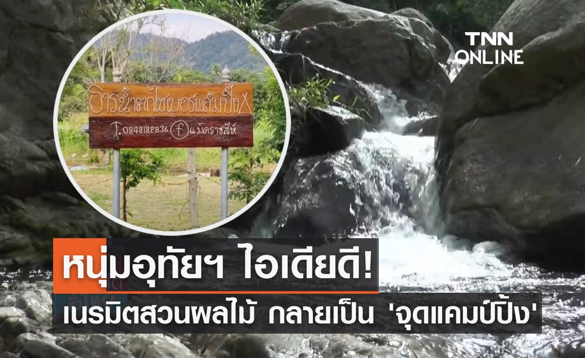 หนุ่มอุทัยฯ ไอเดียดี! เนรมิตสวนผลไม้ กลายมาเป็น "จุดแคมป์ปิ้ง"
