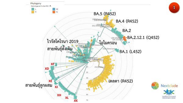 ศูนย์จีโนมฯจับตา โอมิครอนสายพันธุ์ย่อย อาการป่วยอาจรุนแรงกว่าเดิม! ศูนย์จีโนมฯจับตา โอมิครอนสายพันธุ์ย่อย อาการป่วยอาจรุนแรงกว่าเดิม!