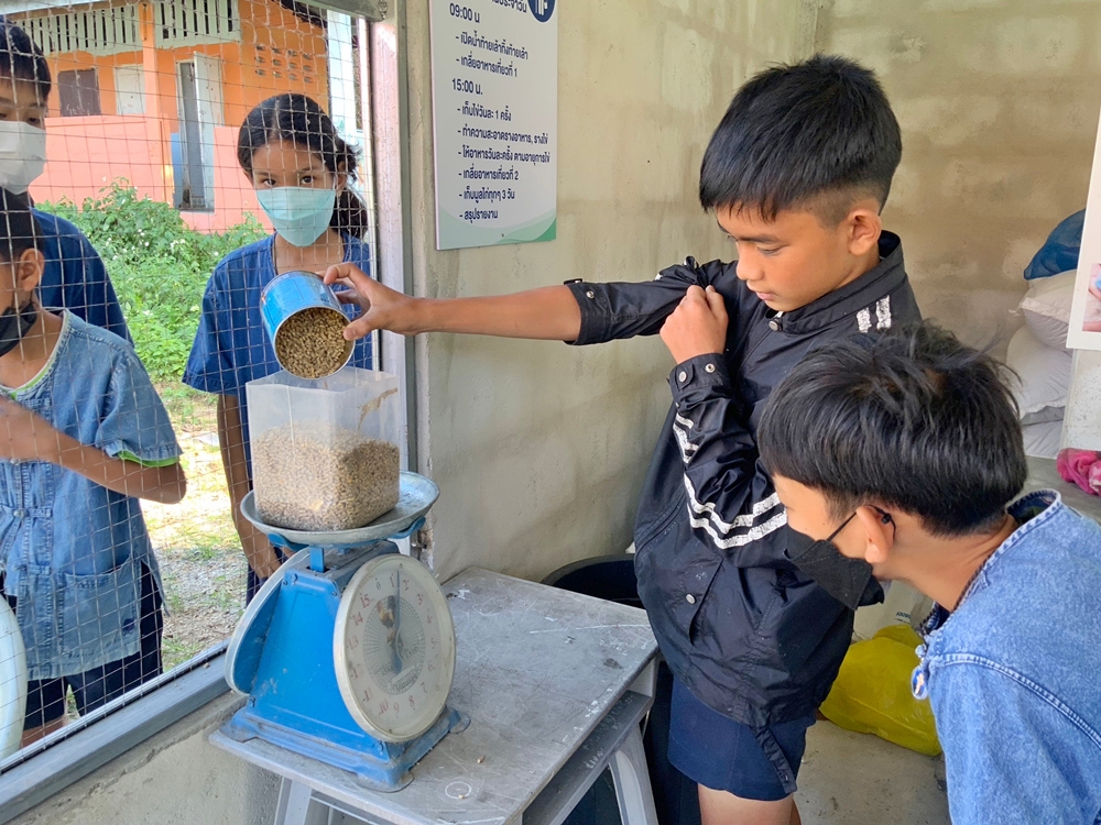 “โครงการเลี้ยงไก่ไข่เพื่ออาหารกลางวันนักเรียน”  คลังอาหารของน้องๆ ร.ร.เวียงห้าววิทยา จ. เชียงราย