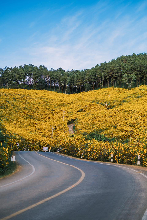 15 ที่เที่ยวแม่ฮ่องสอน 2565 เช็กอินดินแดนสามหมอก สัมผัสอากาศเย็นสุดฟิน 15 ที่เที่ยวแม่ฮ่องสอน 2565 เช็กอินดินแดนสามหมอก สัมผัสอากาศเย็นสุดฟิน