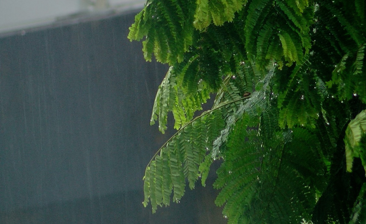 รู้จักกันมั๊ย? “ฝนราชการ” ตกตอนเลิกงาน ไม่ใช่เรื่องบังเอิญ รู้จักกันมั๊ย? “ฝนราชการ” ตกตอนเลิกงาน ไม่ใช่เรื่องบังเอิญ