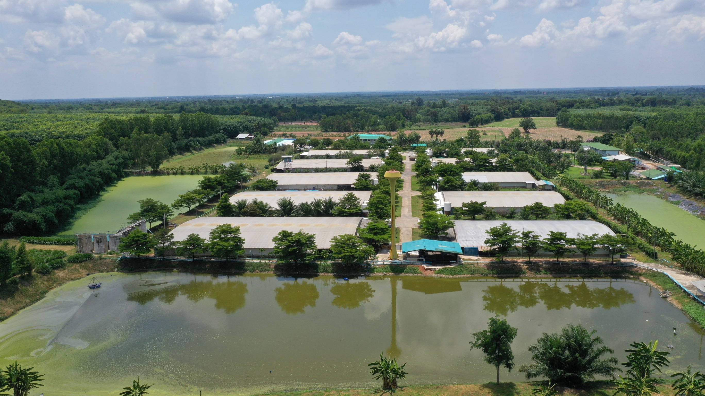 ปันน้ำปุ๋ย จากฟาร์มสุกรซีพีเอฟ ดูแลเกษตรกรสู้ภัยแล้ง ด้วยหลักเศรษฐกิจหมุนเวียน