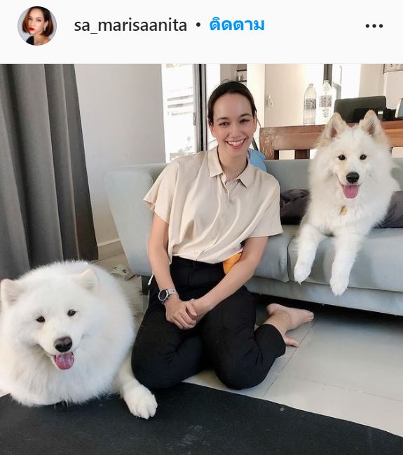 หารายได้เสริมยุคโควิด สา มาริสา ผันตัวเป็นครูฝึกสุนัข หลังงานในวงการหดหาย