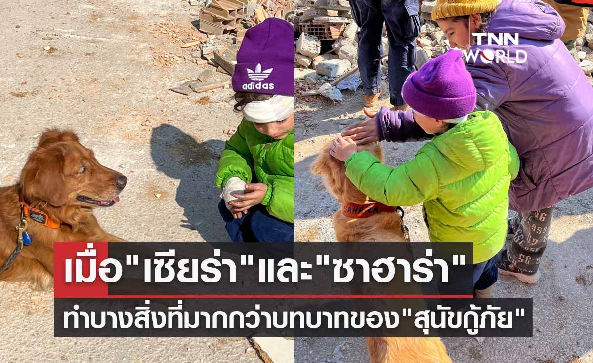 ท่ามกลางความสูญเสีย! "เซียร่า" และ "ซาฮาร่า" ทำบางสิ่งที่มากกว่าบทบาทของสุนัขกู้ภัย