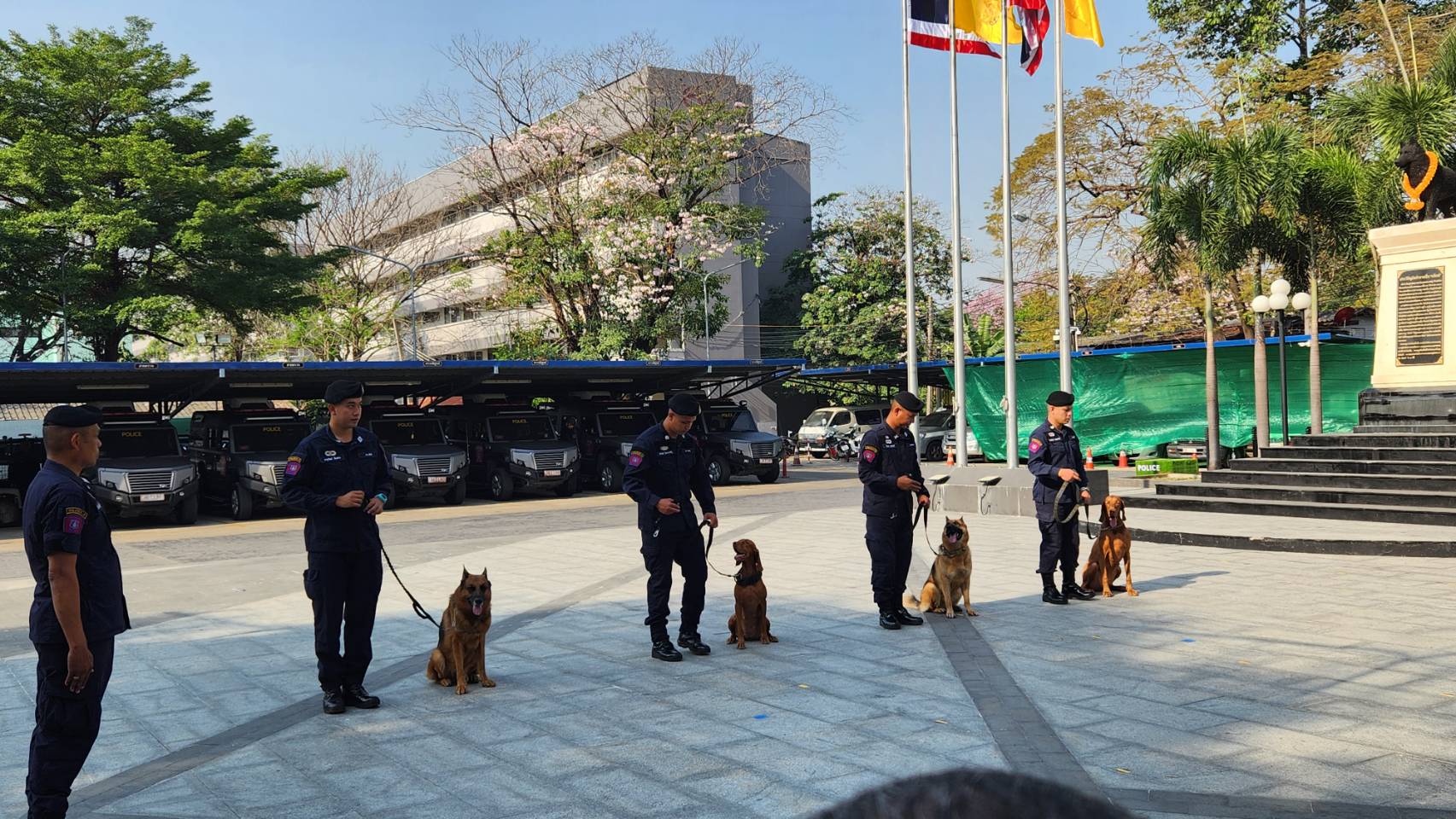 น้องทำดี! ติดยศตำรวจตรี “สุนัข K-9” คลี่คดีดัง“น้องชมพู-ไอซ์หีบเหล็ก”