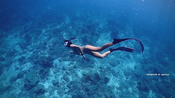  “สายป่าน” ยอมพิษโควิด19กระทบรวดทั้งธุรกิจดำน้ำ และ ร้านกาแฟ  (มีคลิป)