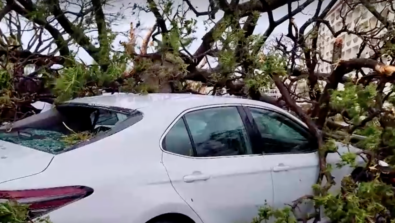 อัปเดตเส้นทาง “พายุไต้ฝุ่นมาวาร์” อ่อนกำลังเป็นโซนร้อน-ญี่ปุ่นอพยพหลายหมื่น อัปเดตเส้นทาง “พายุไต้ฝุ่นมาวาร์” อ่อนกำลังเป็นโซนร้อน-ญี่ปุ่นอพยพหลายหมื่น