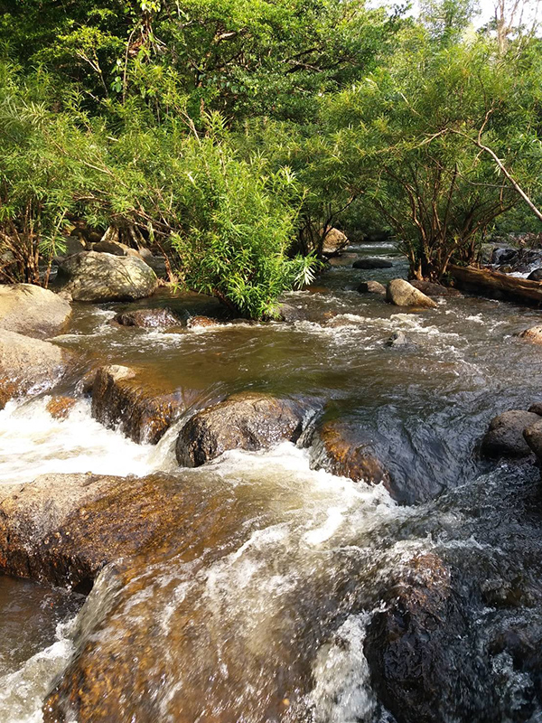 15 ที่เที่ยวนครนายก 2565 เมืองท่องเที่ยวสุดฮิต สูดอากาศดีใกล้กรุงเทพ